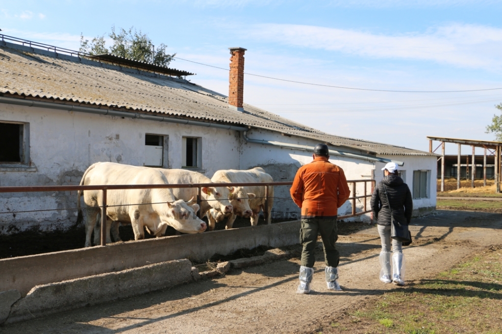 Szakmai nap Bekecs 2019