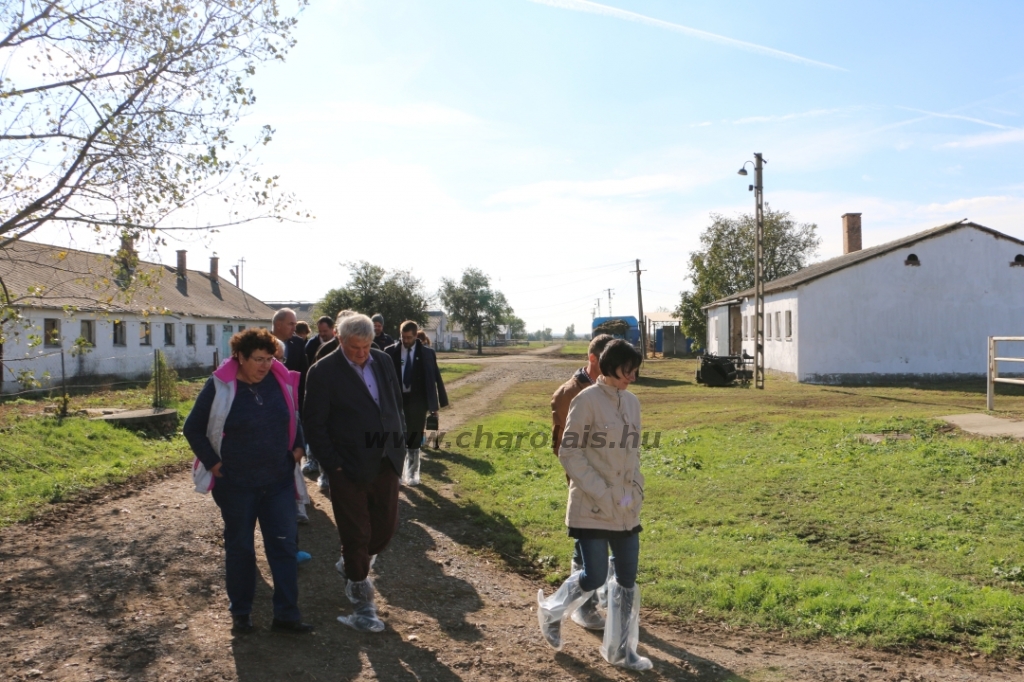 Szakmai nap Bekecs 2019