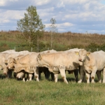 Szakmai nap Kecskemét 2019