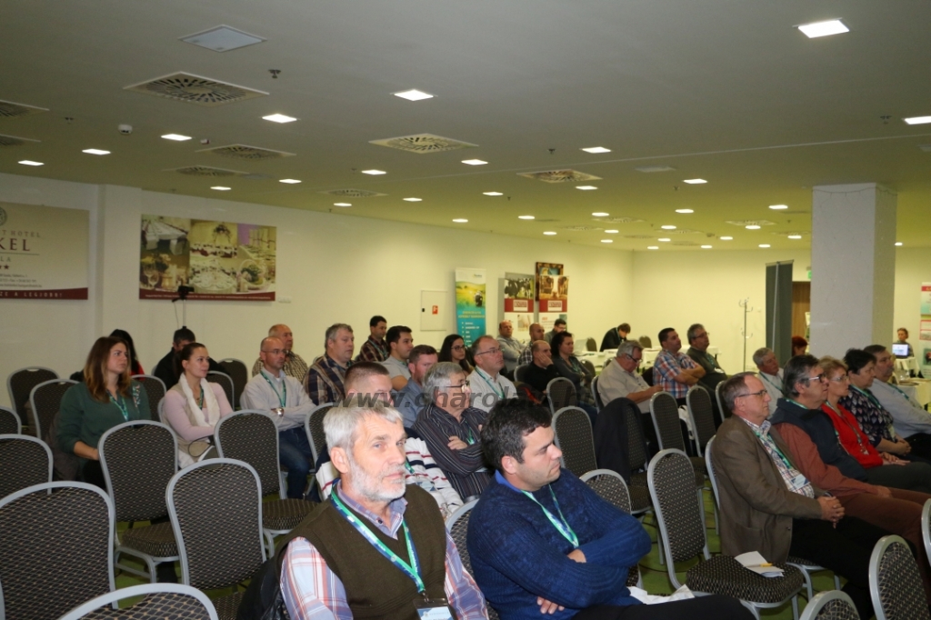 Konferencia Gyulán