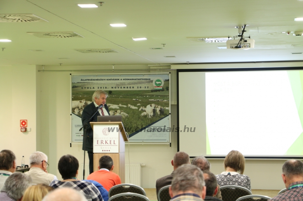 Konferencia Gyulán