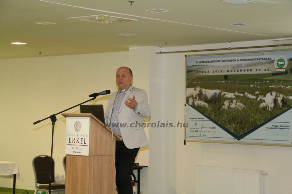 Konferencia Gyulán