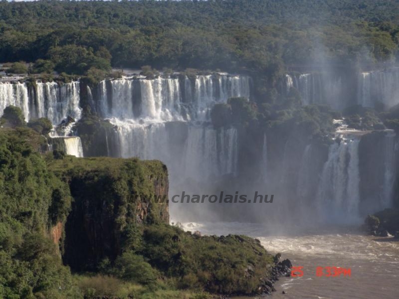 Brazíliai Világkongresszus