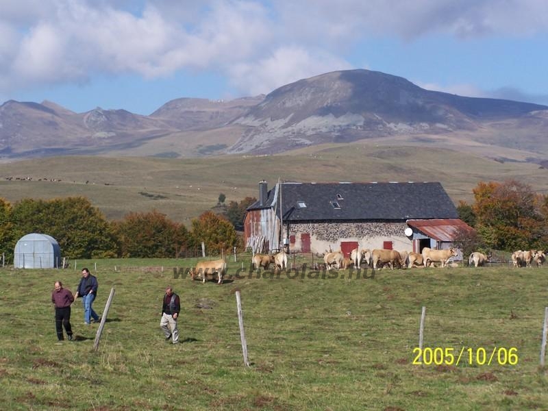 Clermont Ferrond 2005. október 