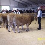 Clermont Ferrond 2005. október 