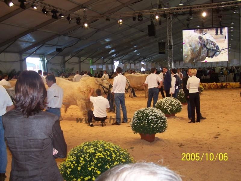 Clermont Ferrond 2005. október 