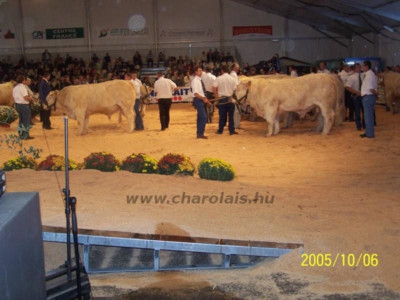 Clermont Ferrond 2005. október 