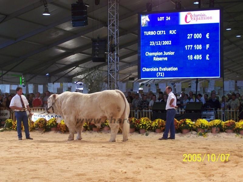Clermont Ferrond 2005. október 
