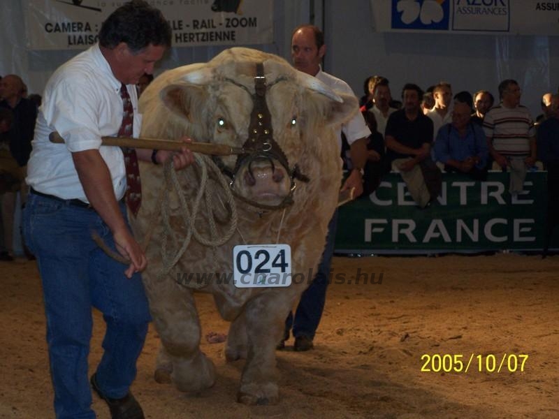 Clermont Ferrond 2005. október 
