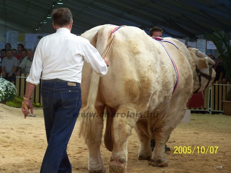 Clermont Ferrond 2005. október 