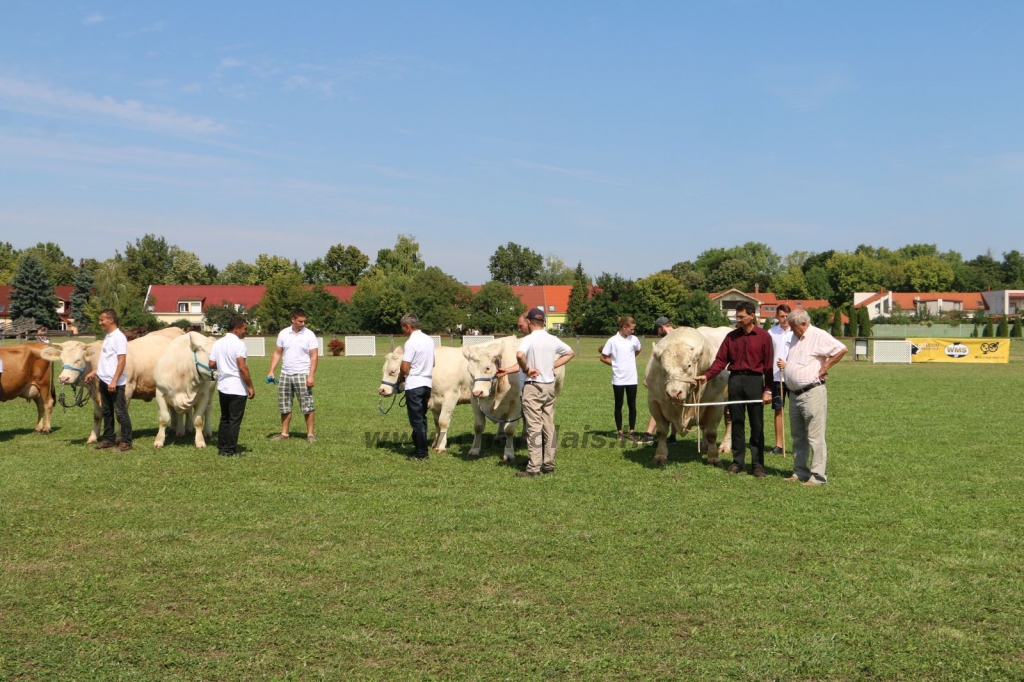 farmer17valogat