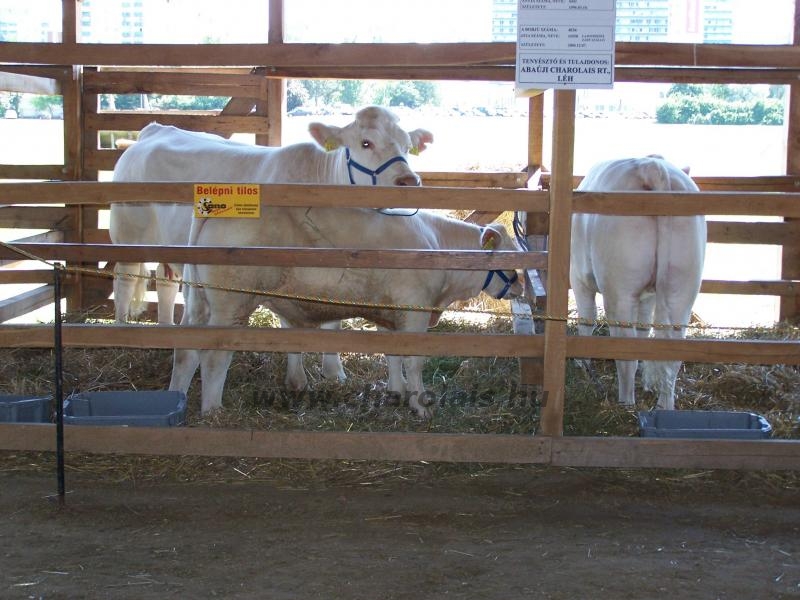 Farmer Expo 2005. 