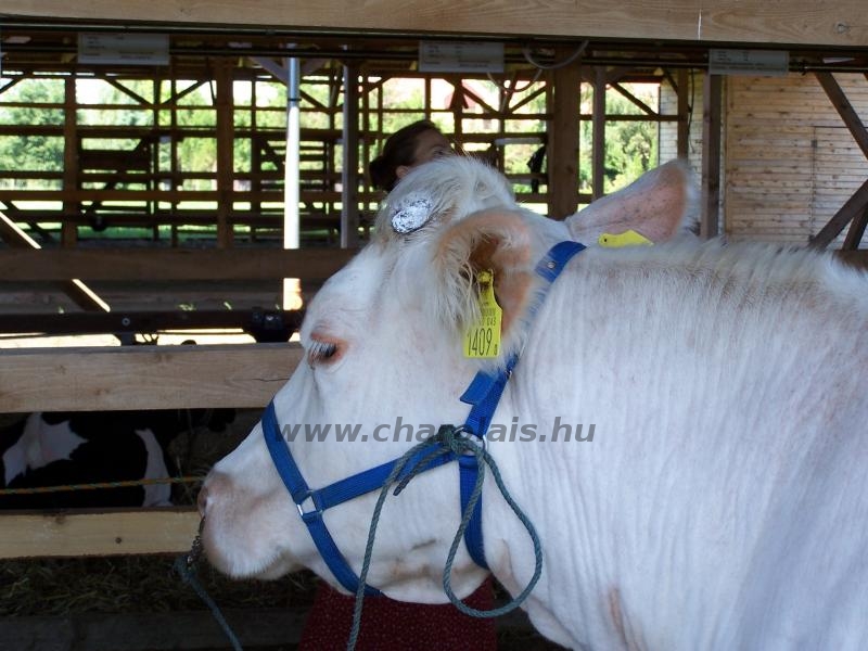 Farmer Expo 2005. 