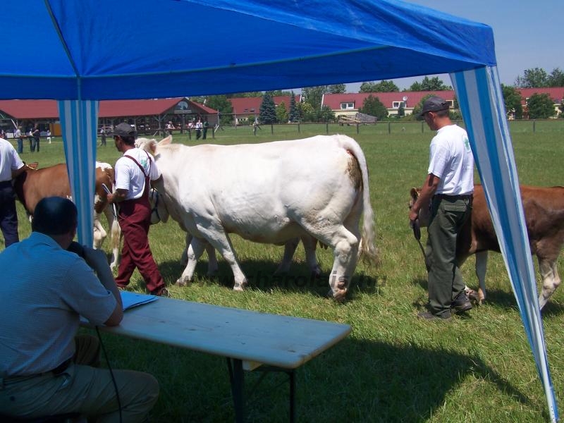 Farmer Expo 2005. 