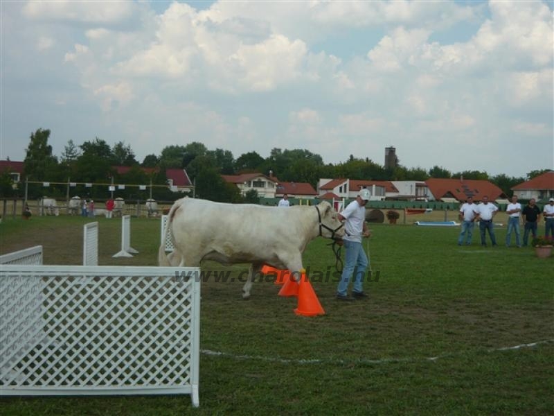 Farmer Expo 2009.