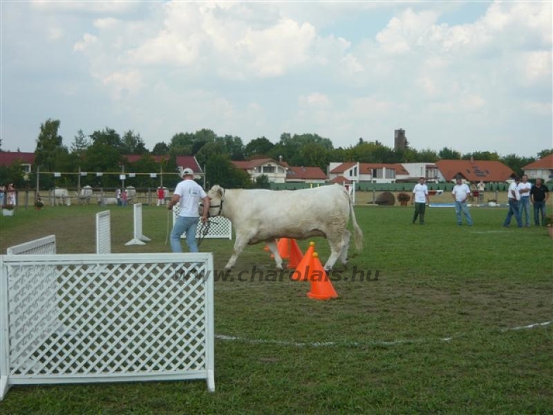 Farmer Expo 2009.