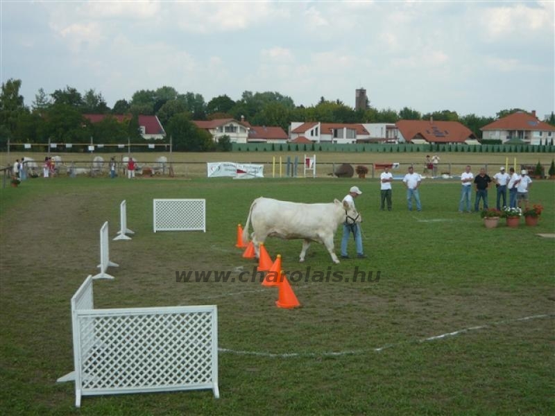 Farmer Expo 2009.