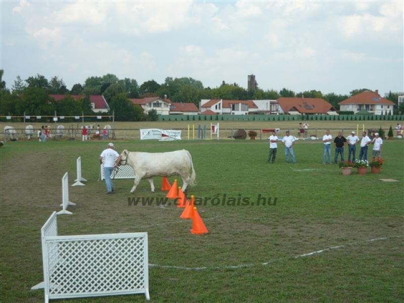 Farmer Expo 2009.