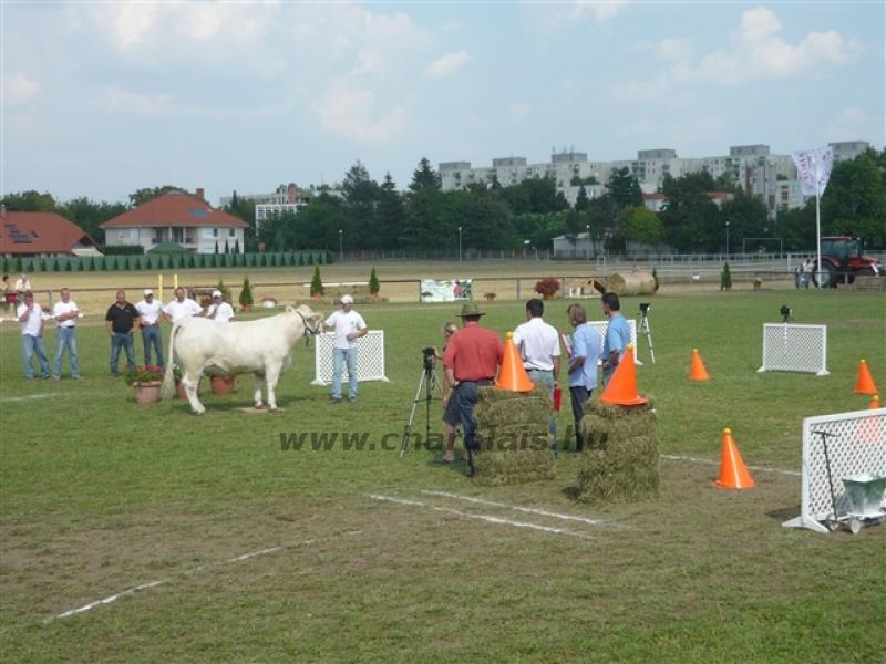 Farmer Expo 2009.