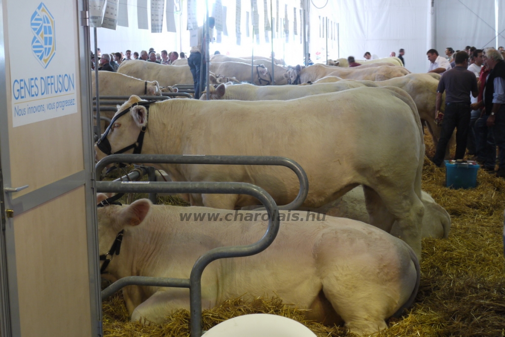 Sommet de l'Élevage - 2013
