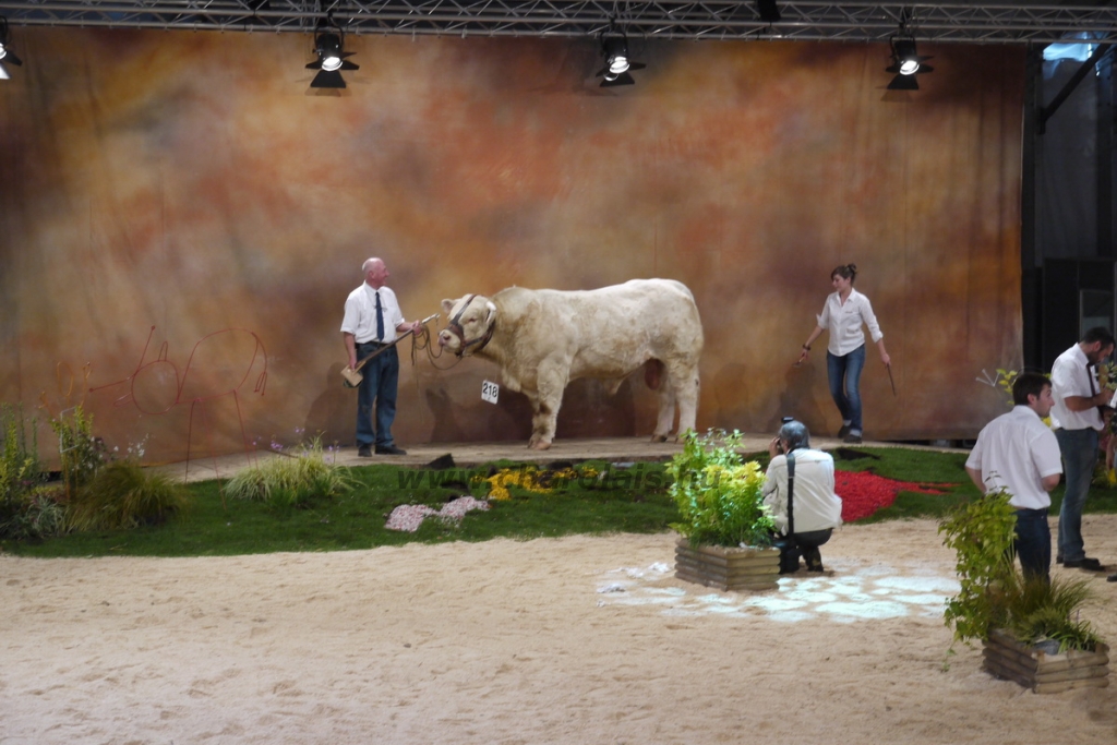 Sommet de l'Élevage - 2013