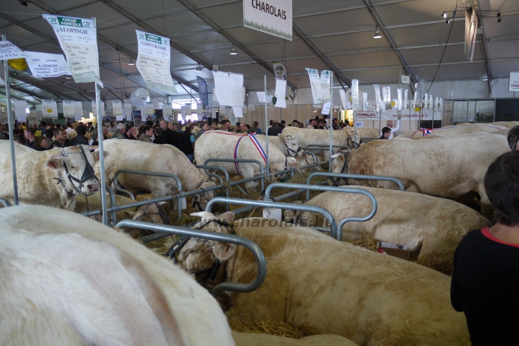 Sommet de l'Élevage - 2013