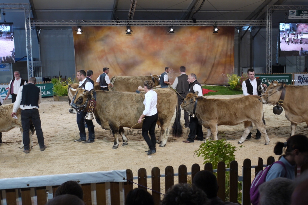 Sommet de l'Élevage - 2013