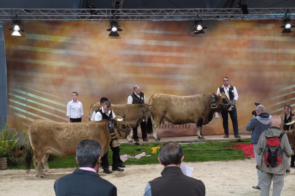 Sommet de l'Élevage - 2013