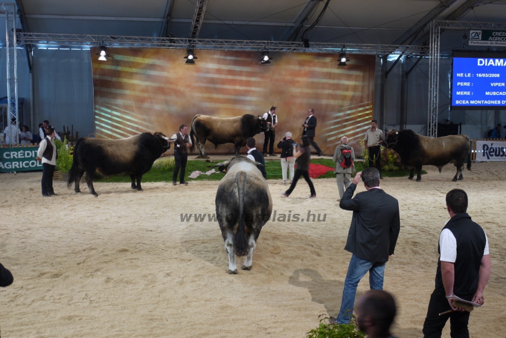 Sommet de l'Élevage - 2013