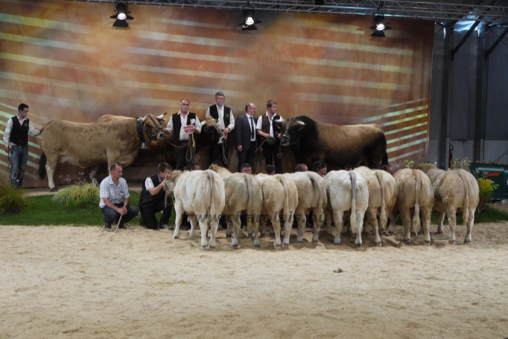 Sommet de l'Élevage - 2013