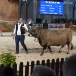 Sommet de l'Élevage - 2013