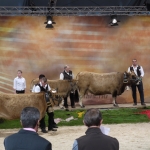 Sommet de l'Élevage - 2013