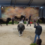 Sommet de l'Élevage - 2013