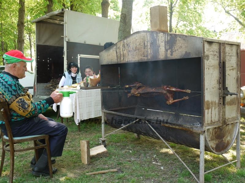 Hódmezõvásárhely 2009