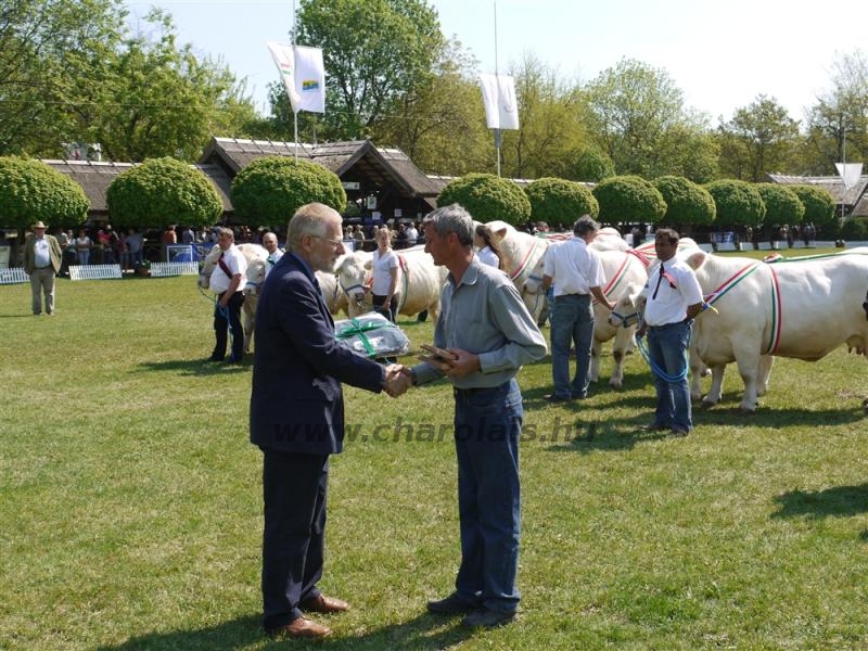 Hódmezõvásárhely 2009