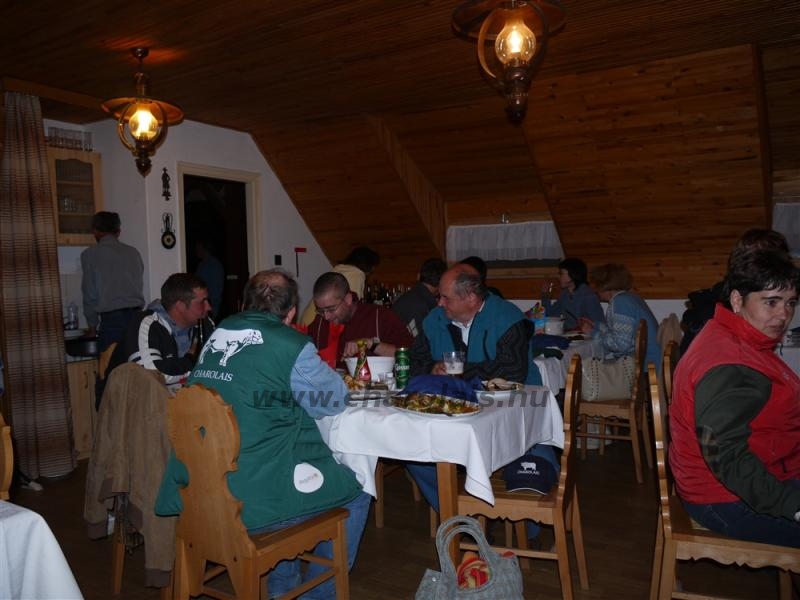 Hódmezõvásárhely 2009