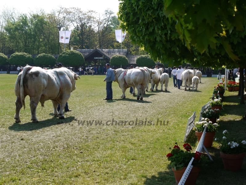 Hódmezõvásárhely 2009