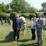 Hódmezõvásárhely 2009