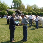 Hódmezõvásárhely 2009