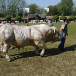 Hódmezõvásárhely 2009