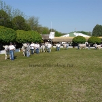 Hódmezõvásárhely 2009