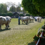 Hódmezõvásárhely 2009