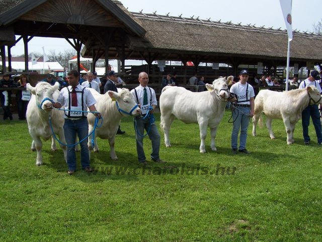 Hódmezõvásárhely 2010