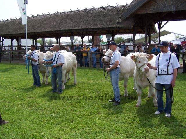 Hódmezõvásárhely 2010