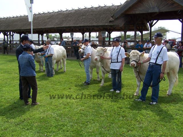 Hódmezõvásárhely 2010