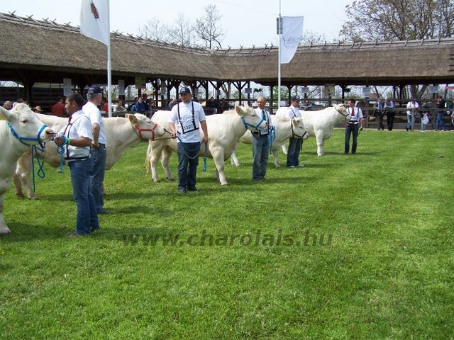 Hódmezõvásárhely 2010