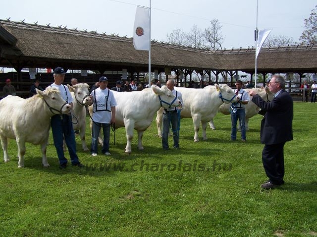 Hódmezõvásárhely 2010