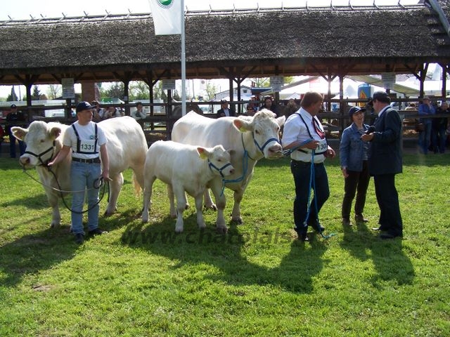 Hódmezõvásárhely 2010