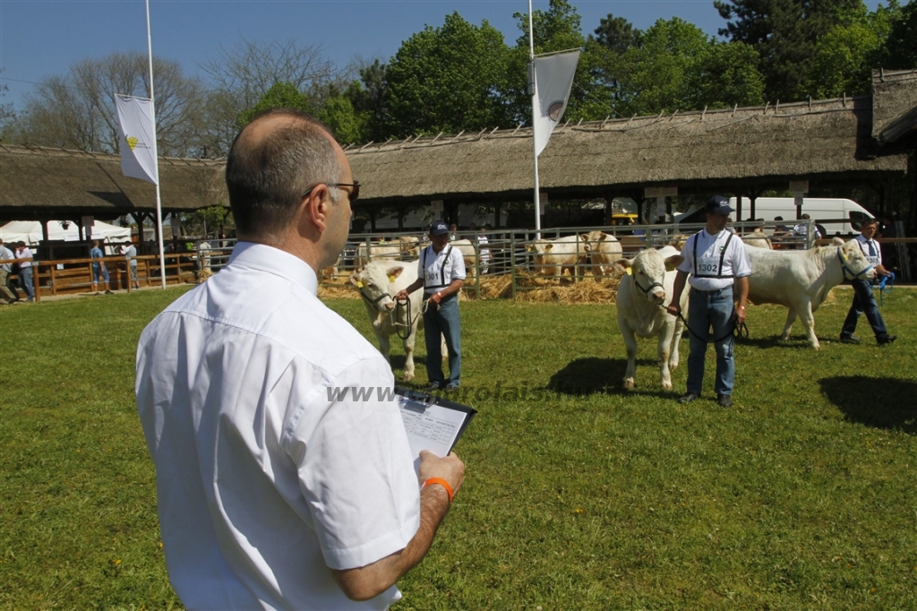 Hódmezővásárhely 2013