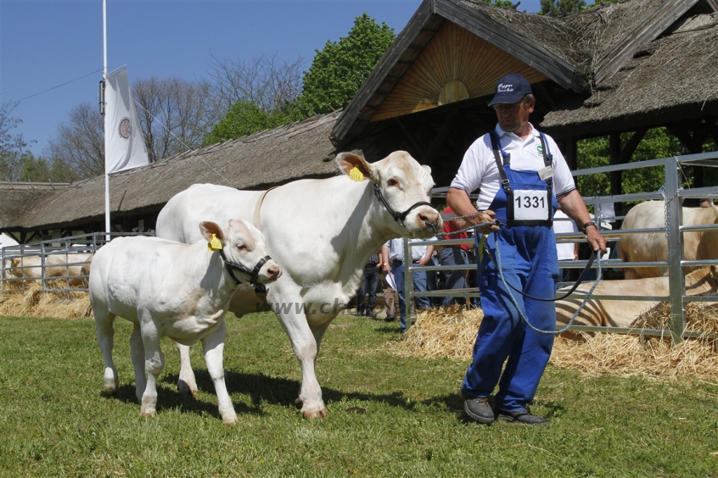 Hódmezővásárhely 2013